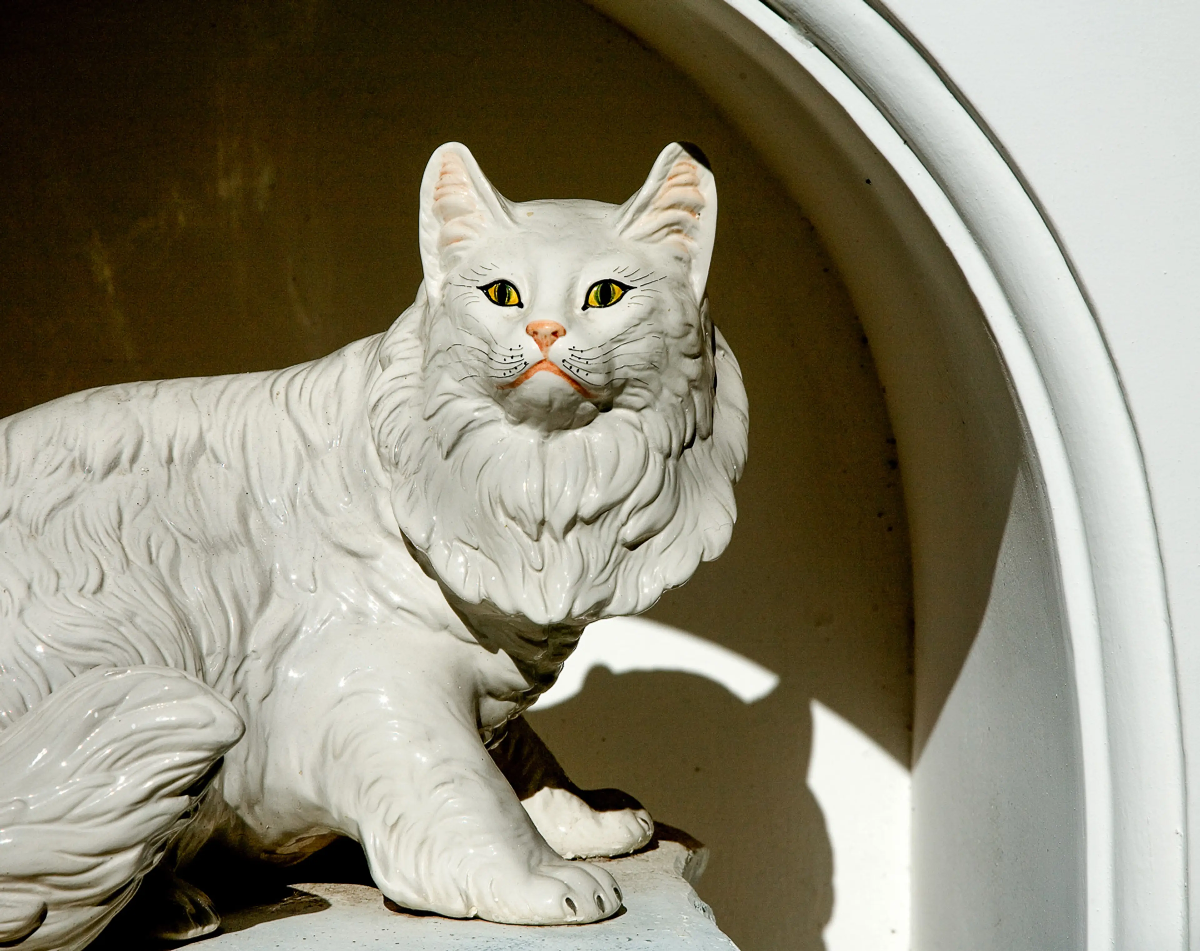 Ingresso Gatto Bianco
