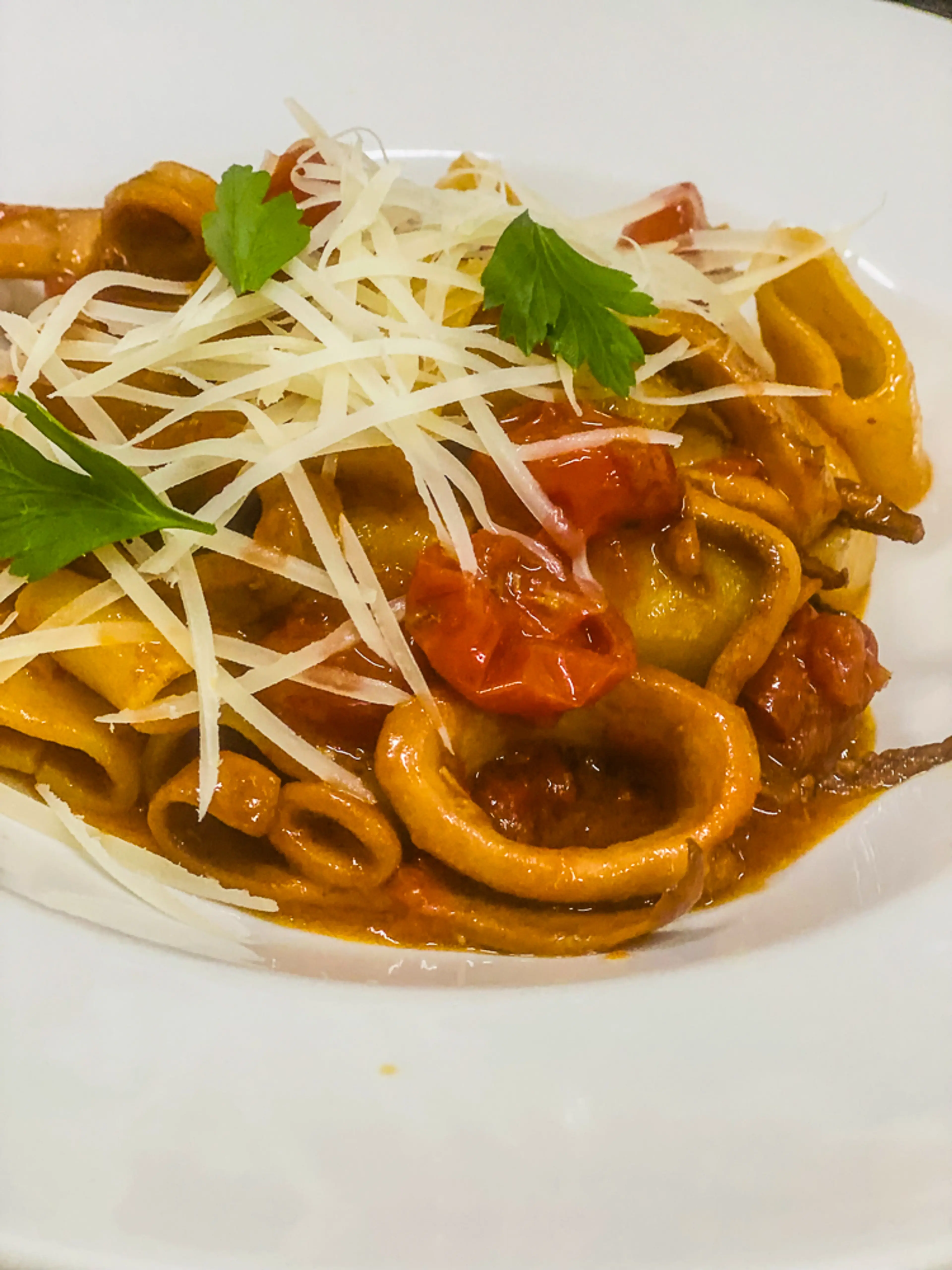 Paccheri ai calamari con pomodoro