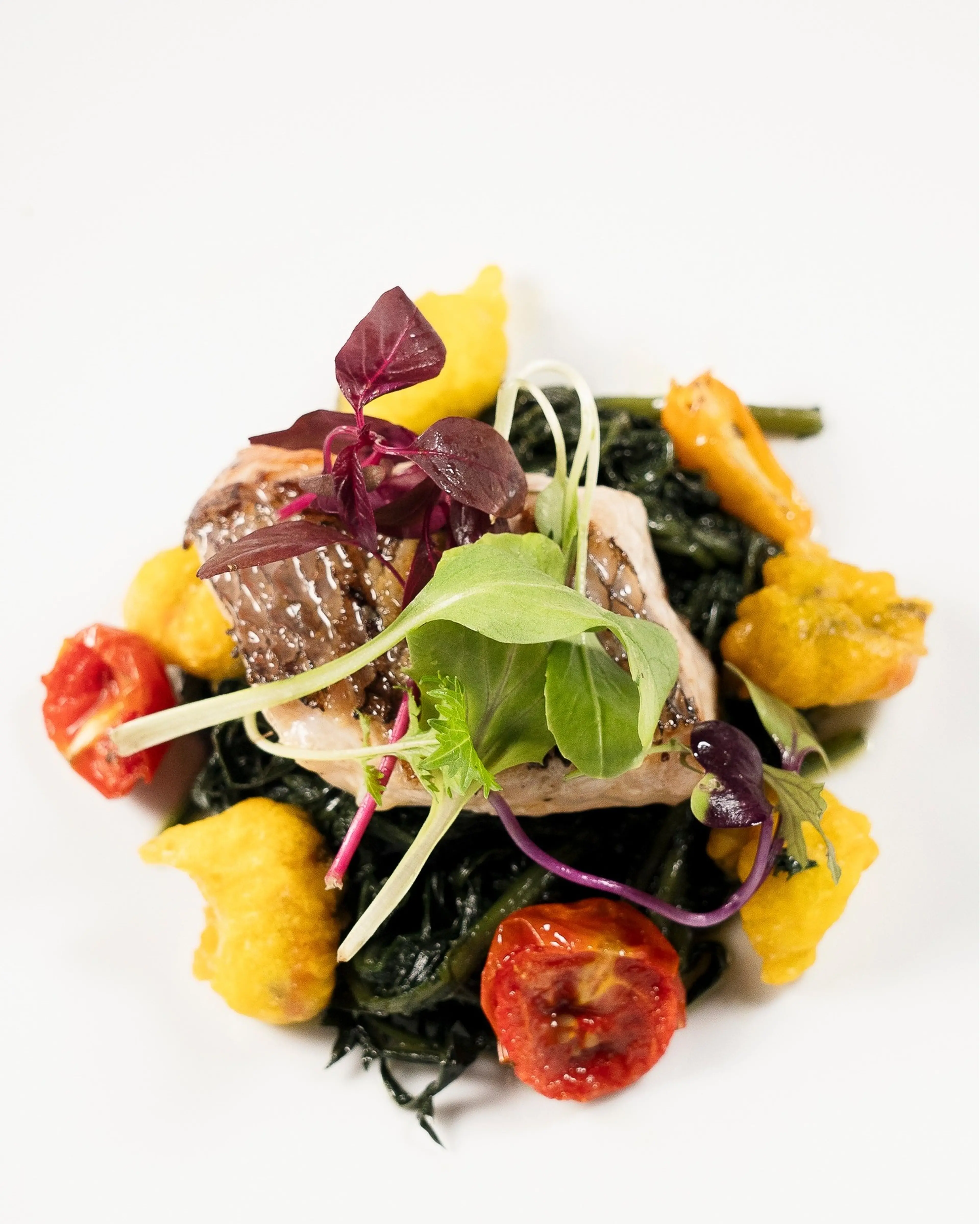 Seared tuna with greens and zucchini-blossom tempura