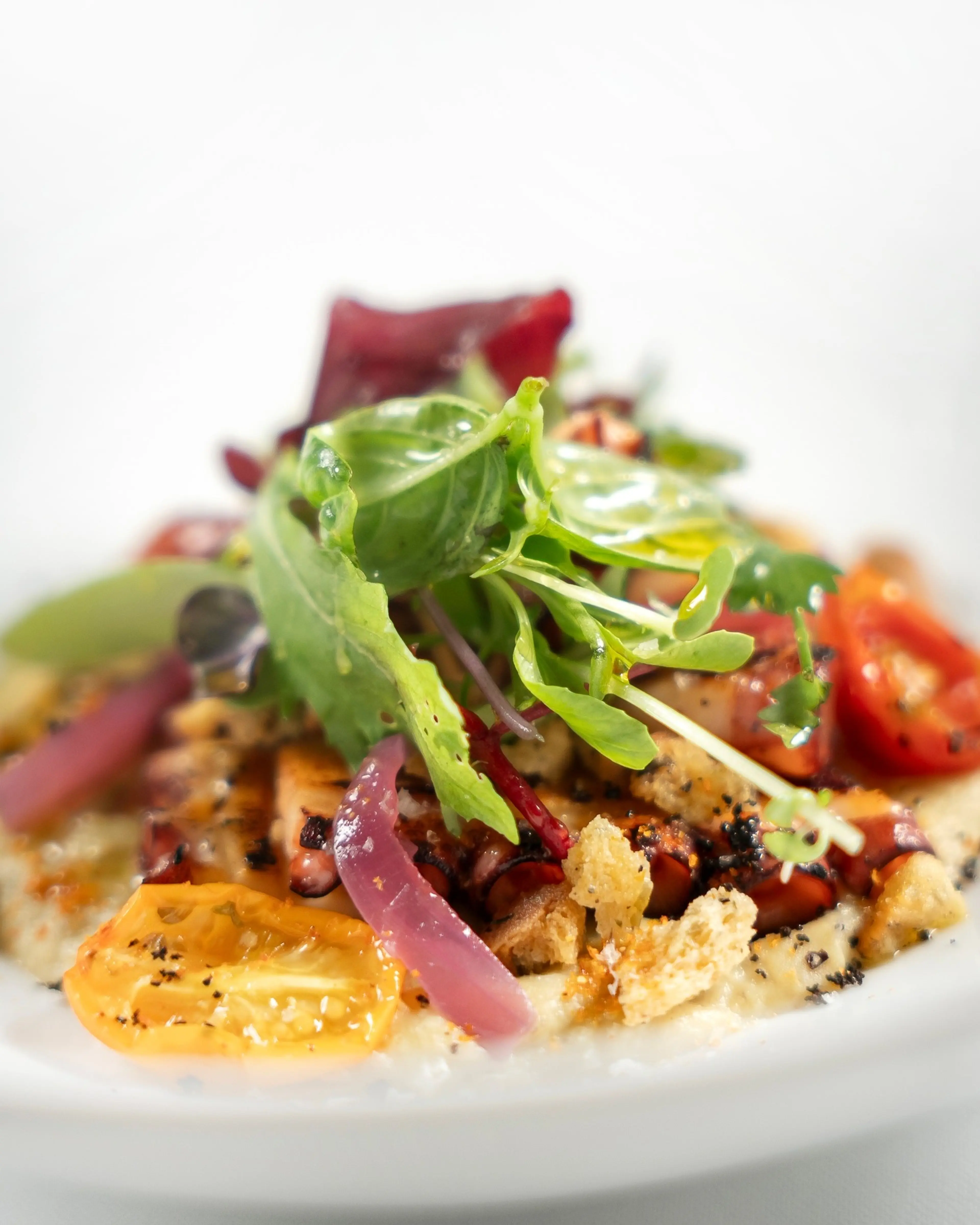 Grilled octopus with confit tomatoes