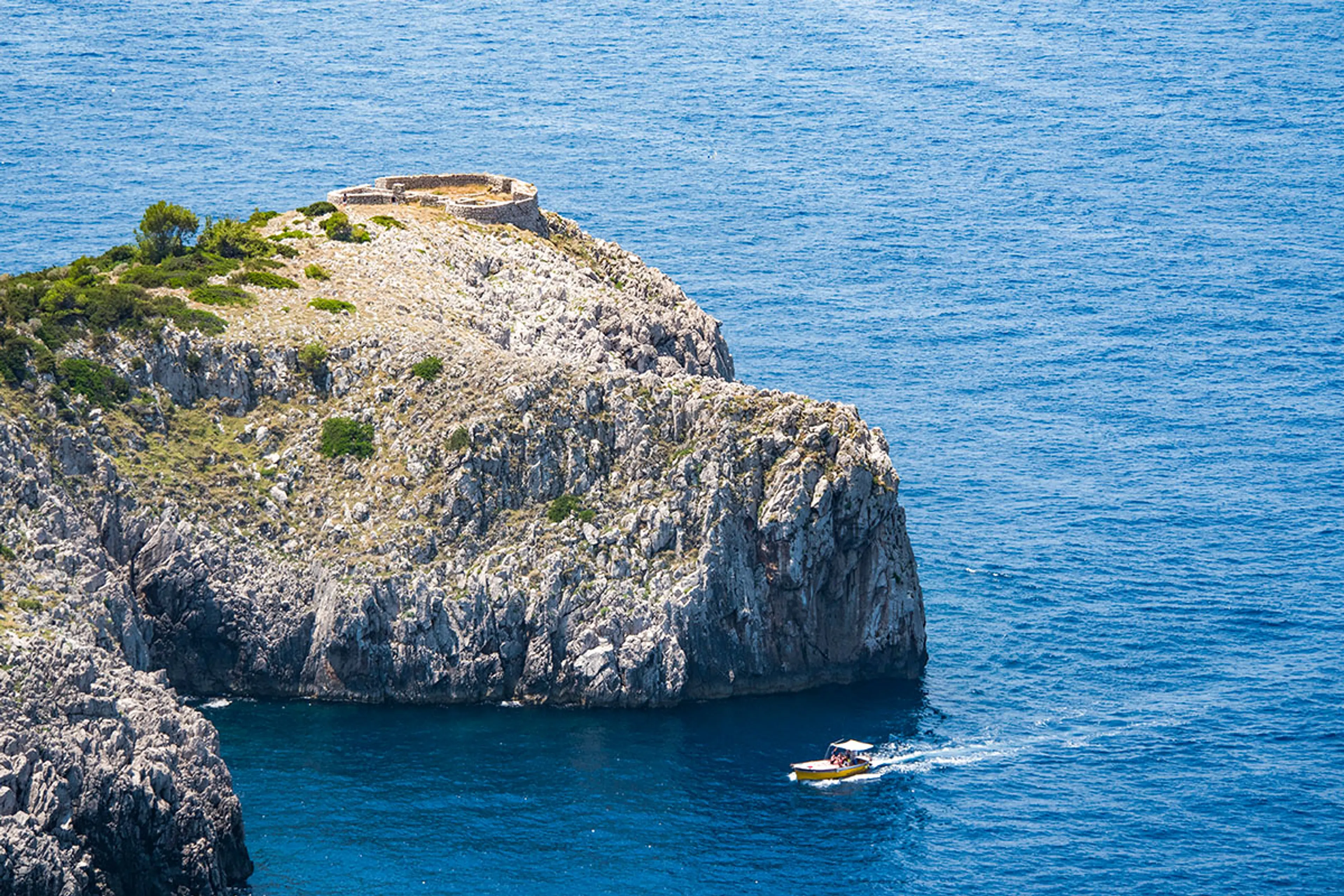 Capri coast with pines and cypress