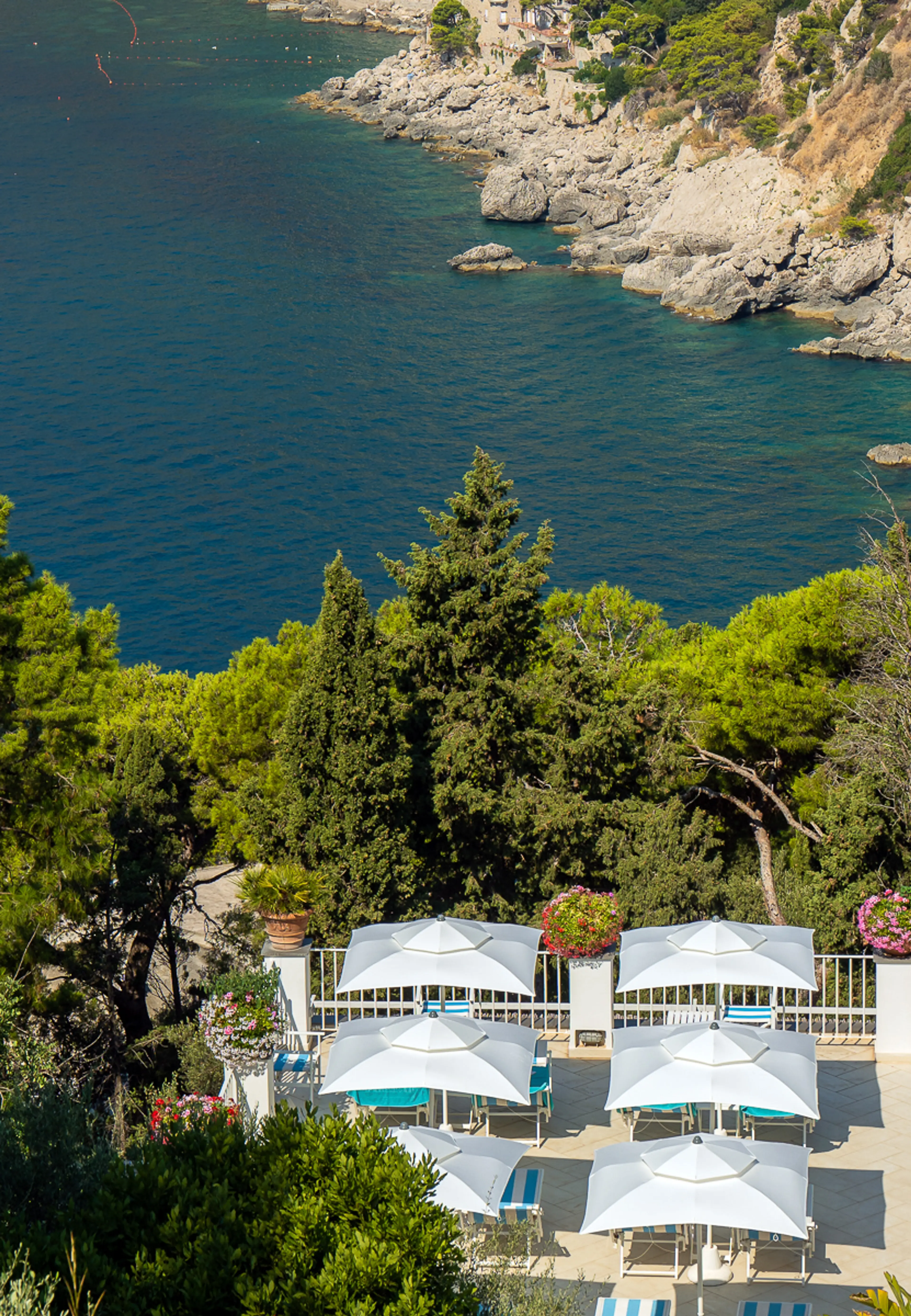 Lettini sulla costa rocciosa
