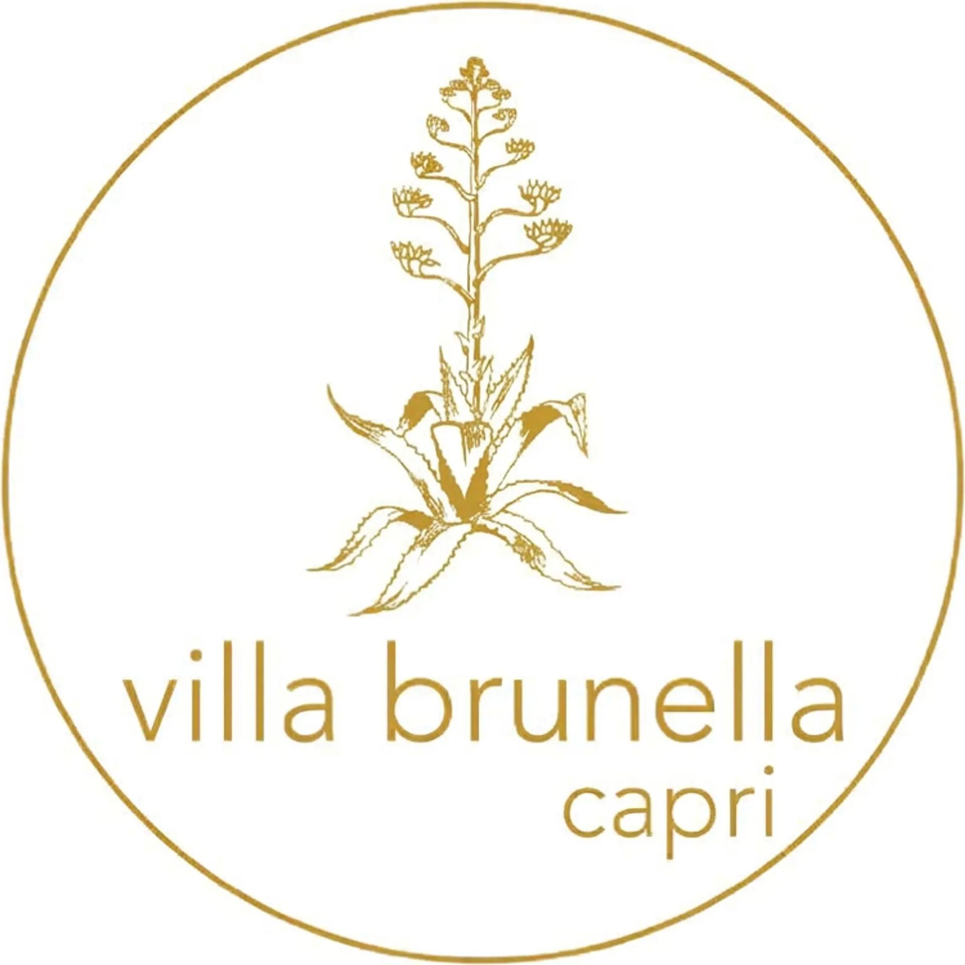 Villa Brunella