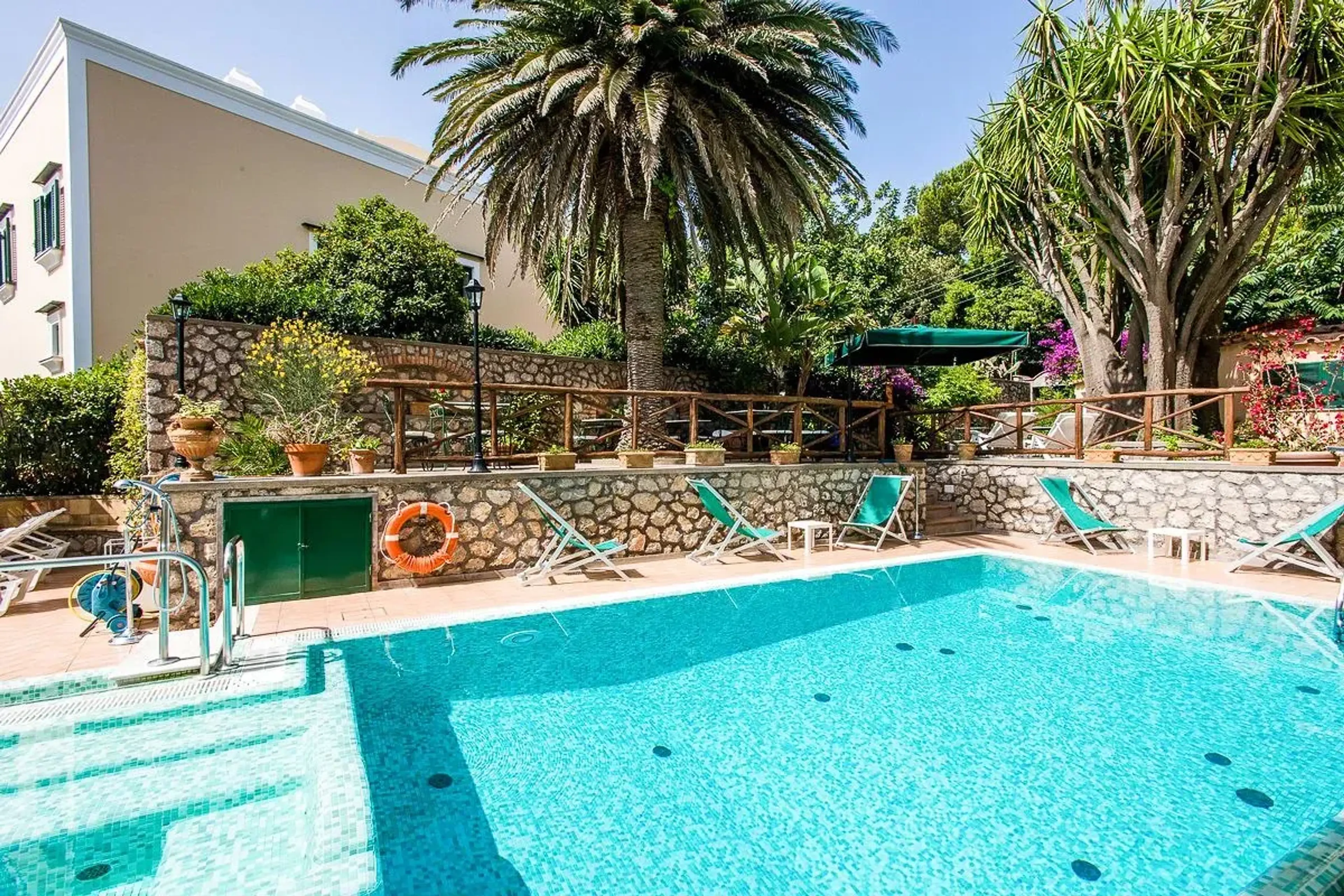Pool with palm tree - Villa Sarah Capri