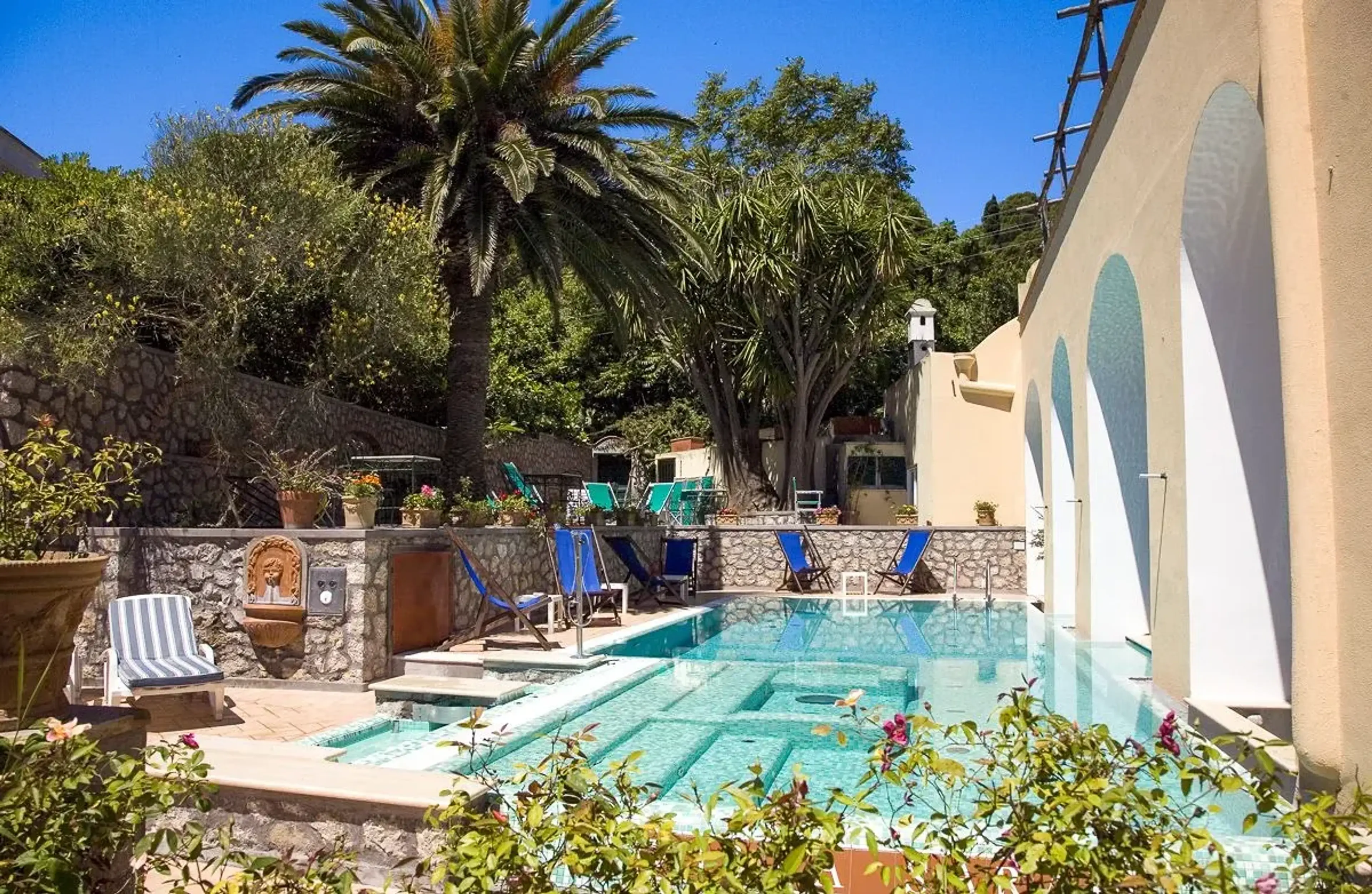 Pool with palm tree - Villa Sarah Capri