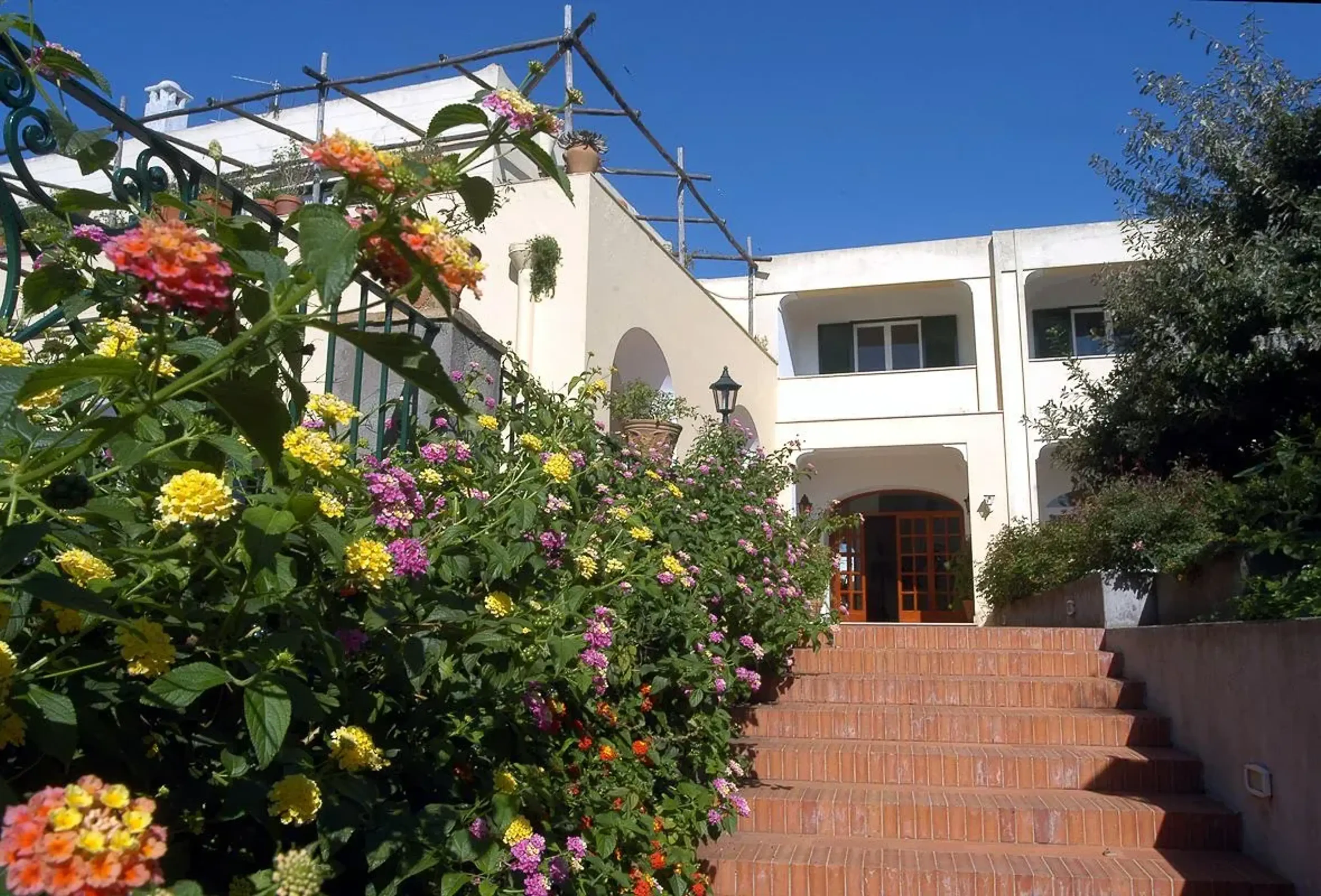 Facade with flowers - Villa Sarah Capri